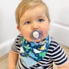 Neckerchew, Baby Dino - Image 6